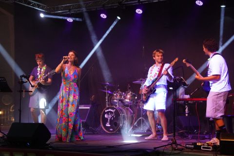 Souvenir d'Hanzinne